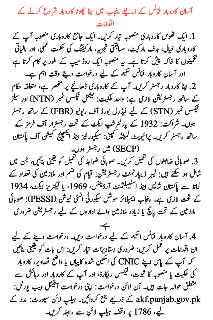 Small Business in Punjab through Asaan Karobar